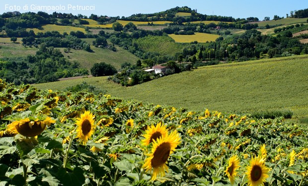 Italia in svendita. Se la legge finisce dove inizia la proprietà